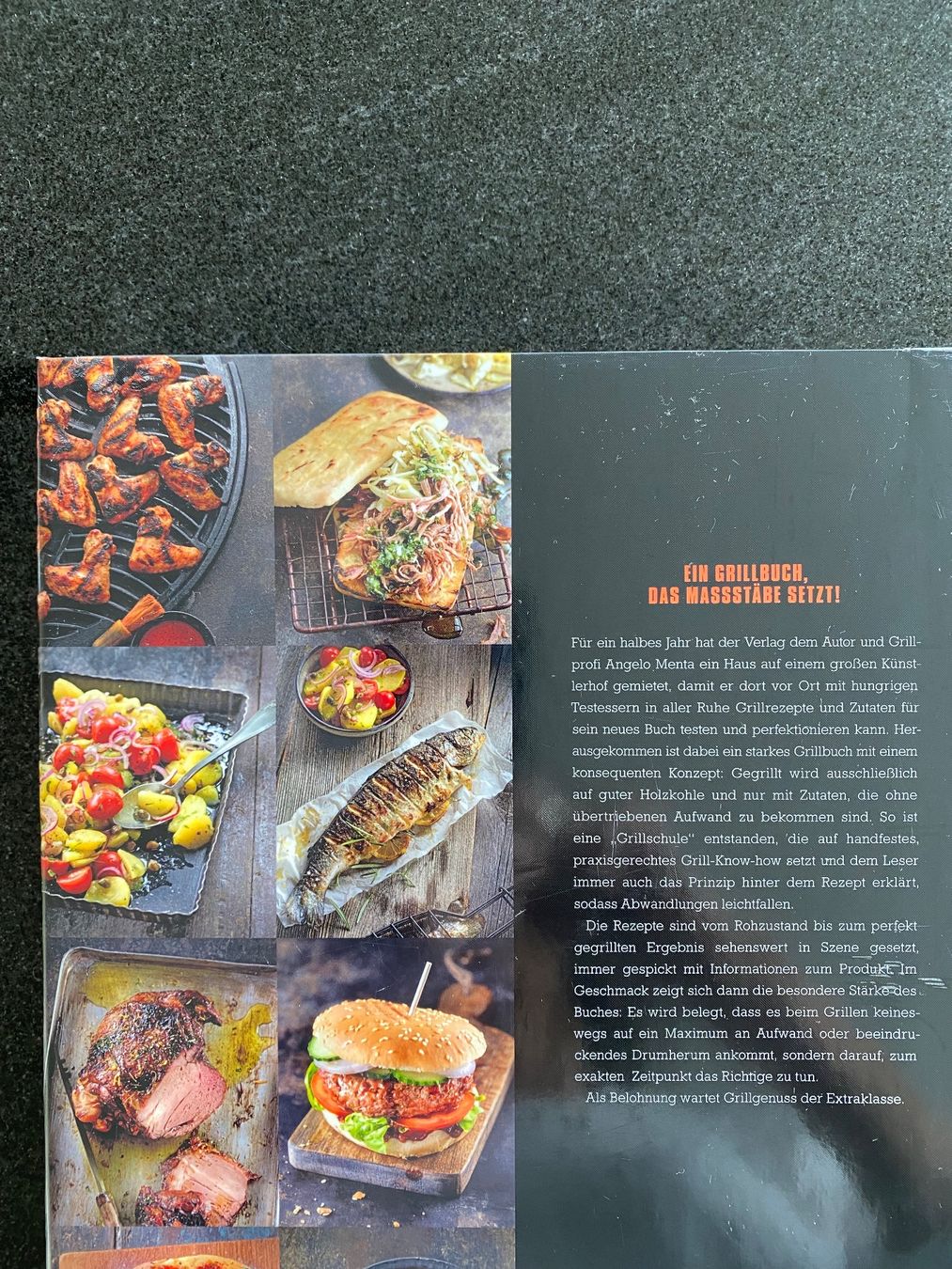 Bücher: Grillgut - ein Grillbuch, das Massstäbe setzt – Gebraucht aus Meisterschwanden von Lapins2019 1