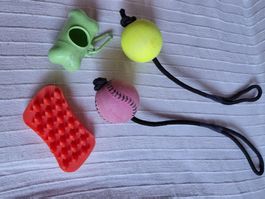 4tlg. Set Hundezubehör