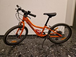 NALOO Chameleon 20"