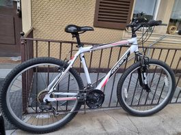 Leopard Star Cat Mountainbike