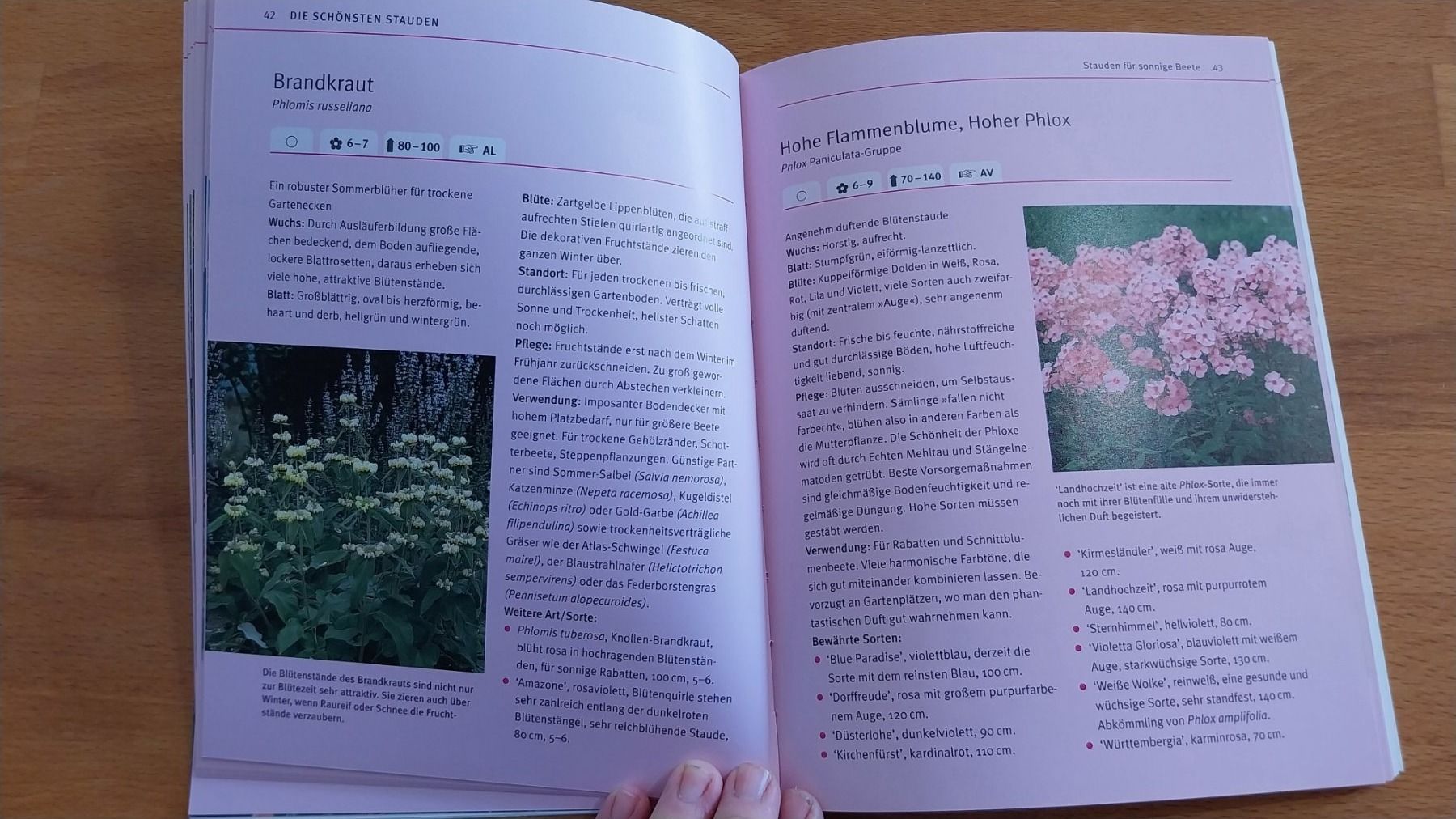 Libri: Buch Blütenstauden: Die schönsten Arten – Usato da Staufen venduto da Sunsetranch 3