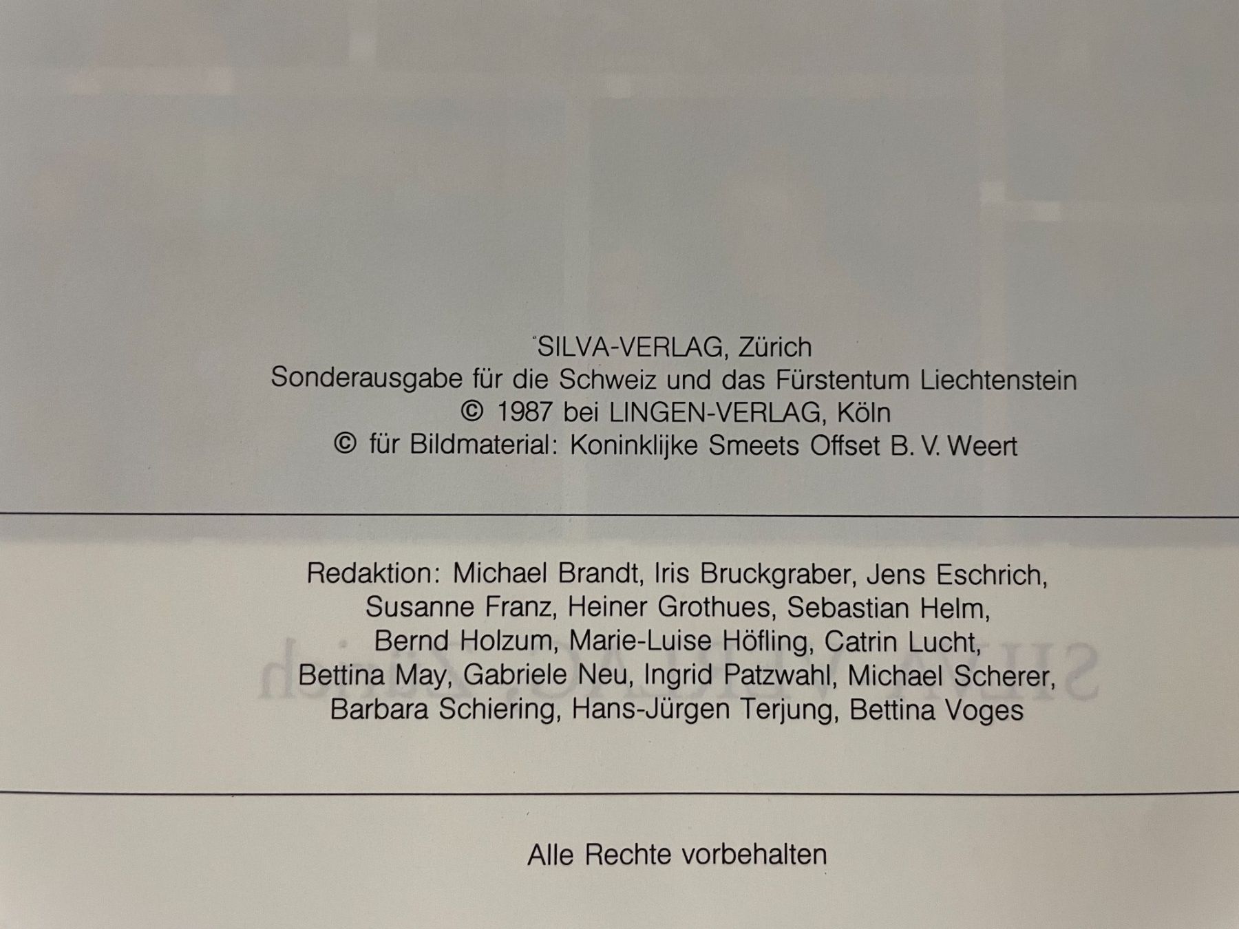 Libri: Malerei Lexikon von A-Z - Kunstgeschichte Buch – Usato da Zürich venduto da TTLM 6