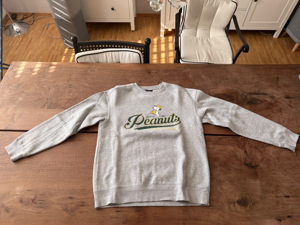 H&M Giacche: Pullover H&M Peanuts Grau Grösse S guter Zustand – Usato da Zürich venduto da michael.frei 1