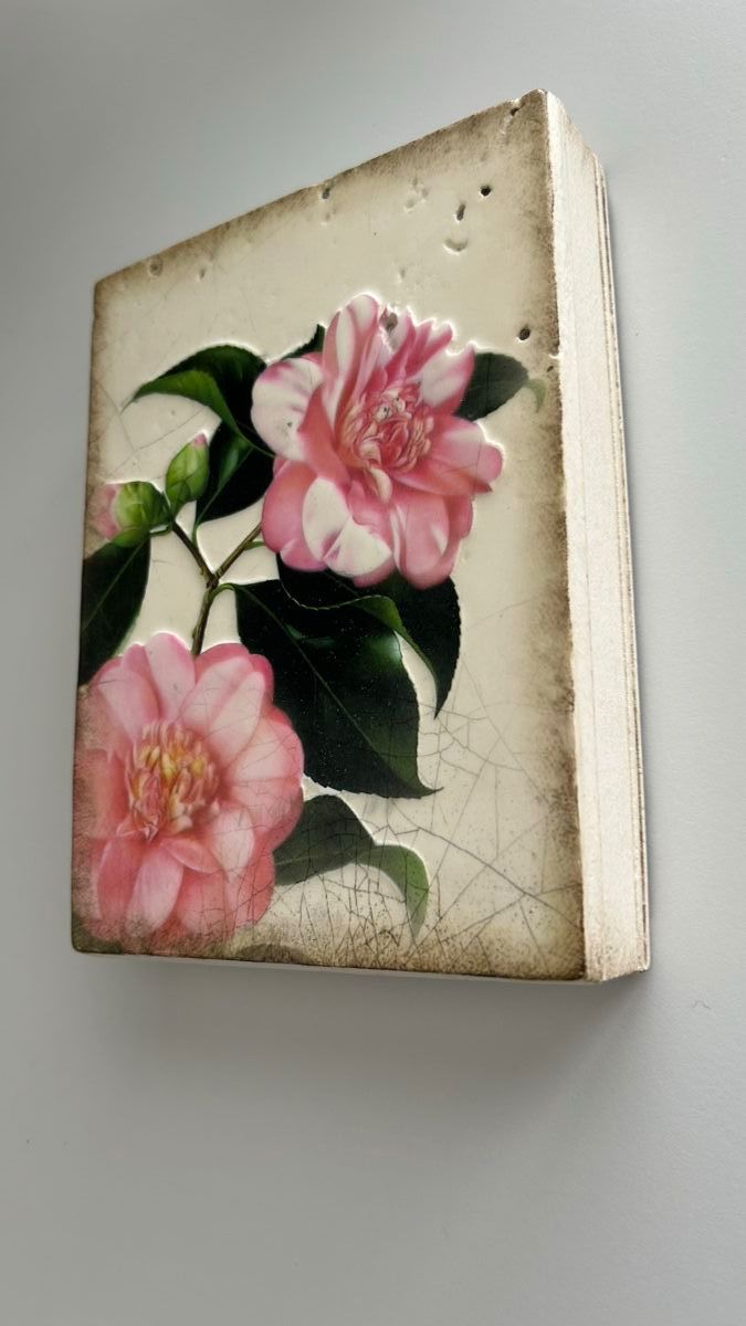Foto & Immagini: Sid Dickens Memory Block T-309 Gratitude – Usato da Meilen venduto da Swisscommunicator 1