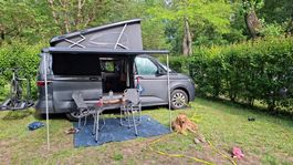 VW t7 california océan liberty