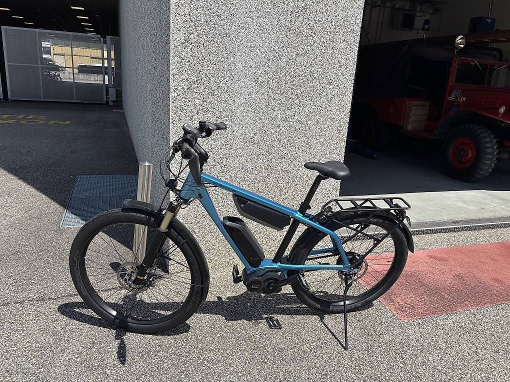 Biciclette: Reise & Muller 45 kmh – Usato da Grand-Lancy venduto da smo_xv2h 3