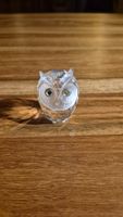 Figurine Hibou en Cristal - Décoration - zarowsky