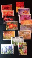 33 STK DIVERSE FLOWERPOWER  POSTKARTEN