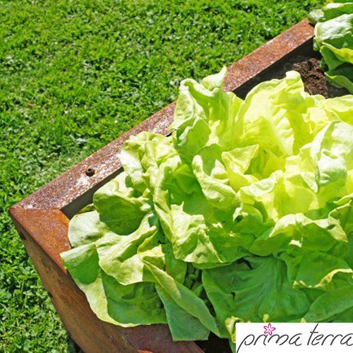 Vasi per fiori: Niedrigbeet Planus Edelrost 118x118x35cm – Nuovo e nell'imballaggio originale da Erlen venduto da casaterra 3