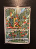 Pokemon Shuckle Mega Evolution Ilustration Rare