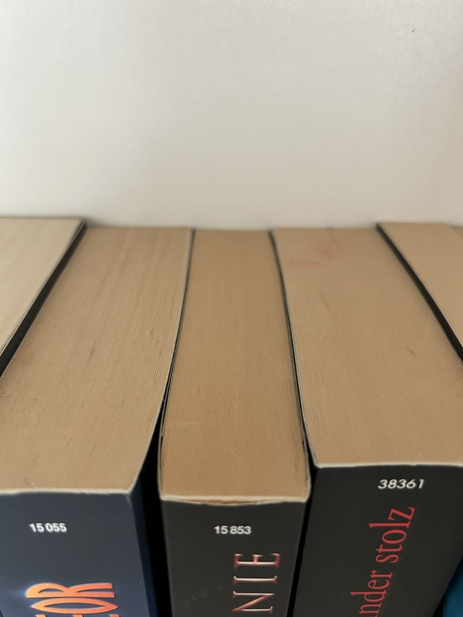 Libri: Die Blutlinie von Cody Mcfadyen – Usato da Arbon venduto da Bobbyx777 3