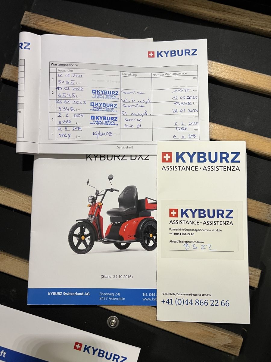 Kyburz Veicoli elettrici: Kyburz Dx2/Dxp – Usato da Effretikon venduto da ugochan 6