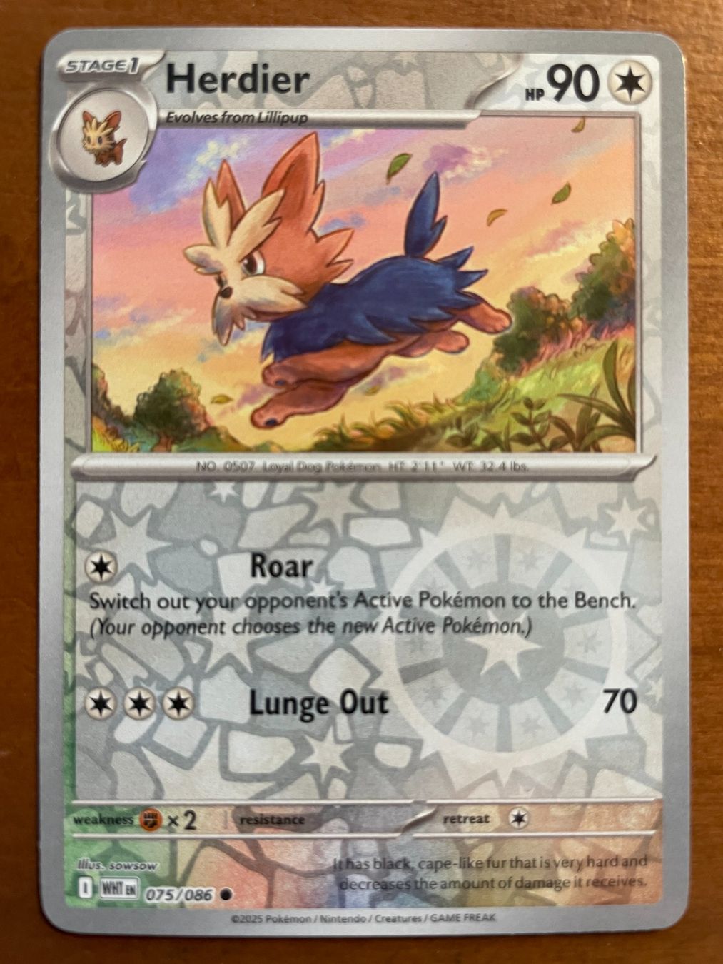 Pokémon Cartes à collectionner: Pokemon Herdier Reverse (Versand gratis) – Neuf (Voir description) à Chur par Angerson