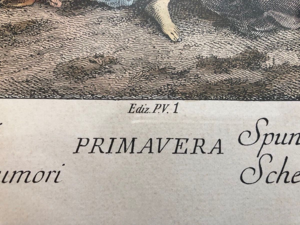 Foto & Immagini: BILD primavera kunstdruck – Usato da Herzogenbuchsee venduto da warrior77 5