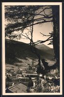 AK Davos, Teilansicht mit Baum