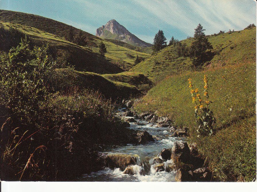 Cartoline postali: Geils 1974 – Usato da Bürglen TG venduto da StampGraf