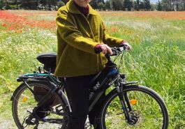 e-Bike City-/Trekking / wie neu / 960 Wh / weit über 100 km