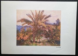 Claude Monet Palm Tree at Bordighera Litographie 70 x 50 cm