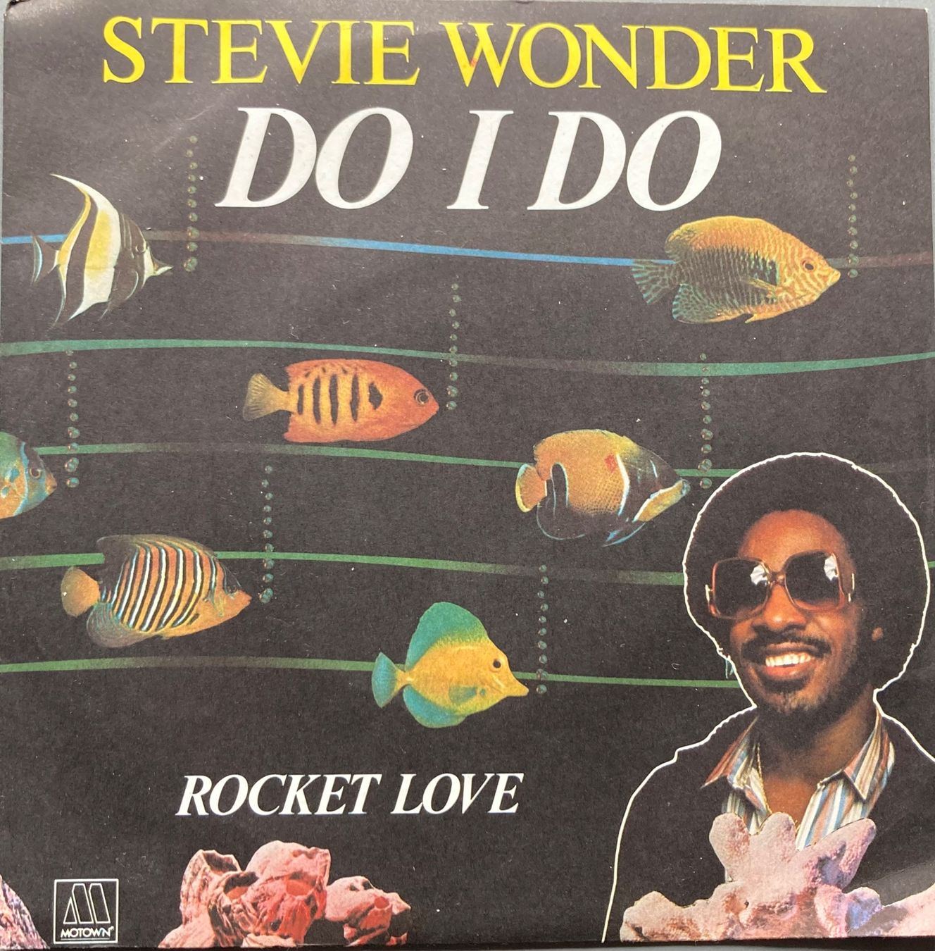 Vinyles: STEVIE WONDER - DO I DO – D'occasion à Poliez-Pittet par Newtown-Records