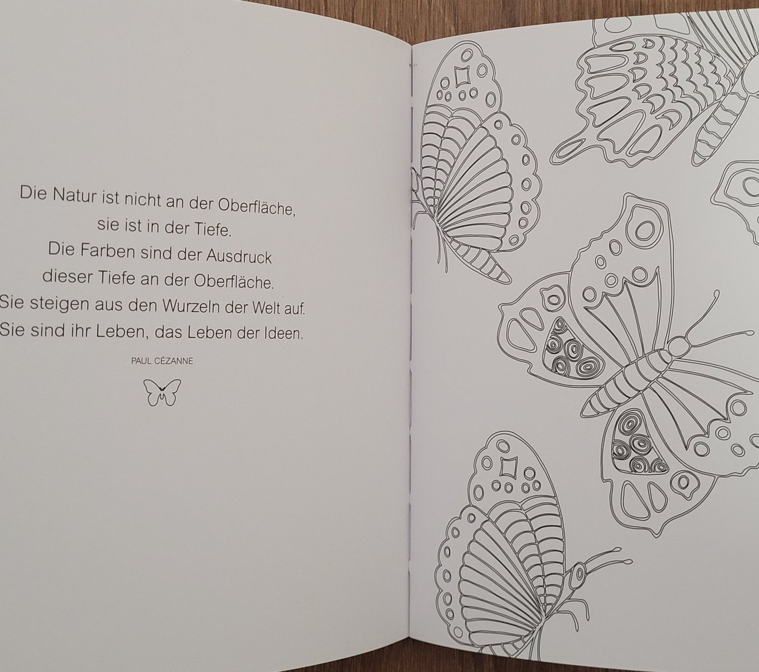 Libri: Ausmalglück Schmetterlinge: Gedanken & Bilder – Usato da Würenlos venduto da Felisha 3