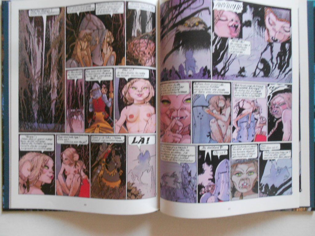BD: Le sortilège du bois des brumes – D'occasion à Bex par Giorgiob 2