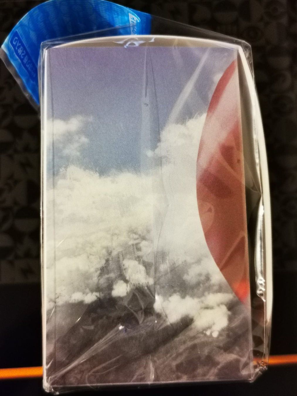 Carte collezionabili: TCG Deck Box Case Brutalanda - Salamence – Usato da Opfikon venduto da Yoshis_World 2