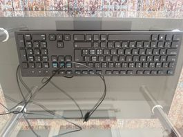 Dell Maus und Tastatur mit Kabel