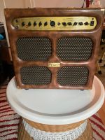 Akustik-Verstärker: Dean DA-30 Acoustic Guitar Amplifier