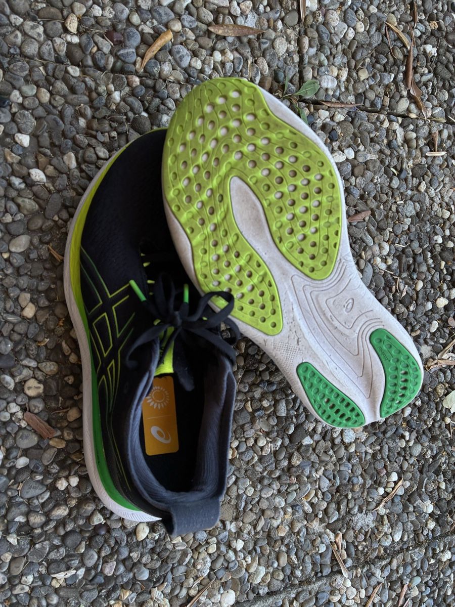 Asics Chaussures hommes: ASICS Gel Nimbus 25 – D'occasion à Gerlafingen par karmate 2