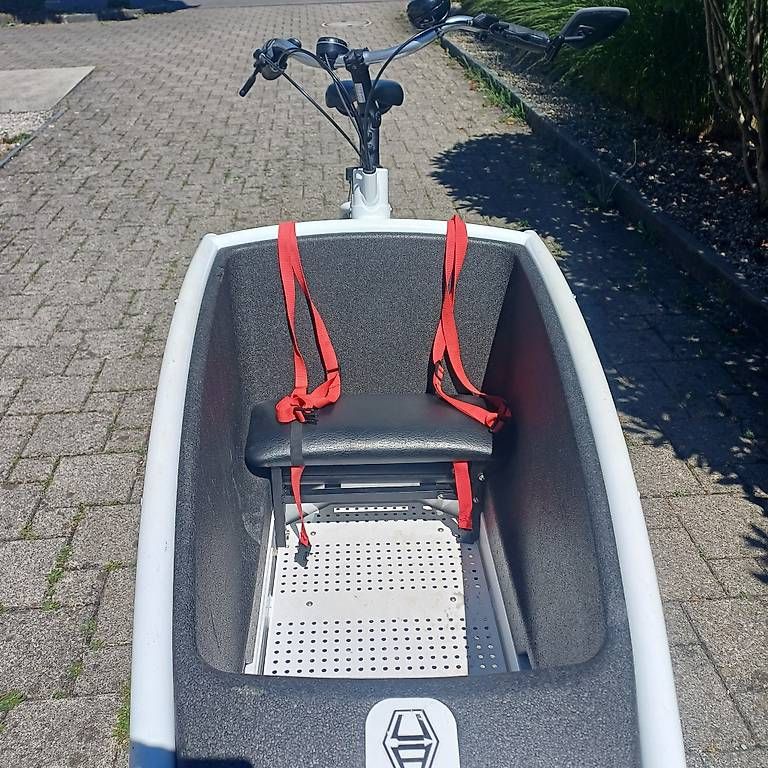 Velos: Urban Arrow Lastenvelo – Gebraucht aus Roggwil TG von nin_yhr9 2