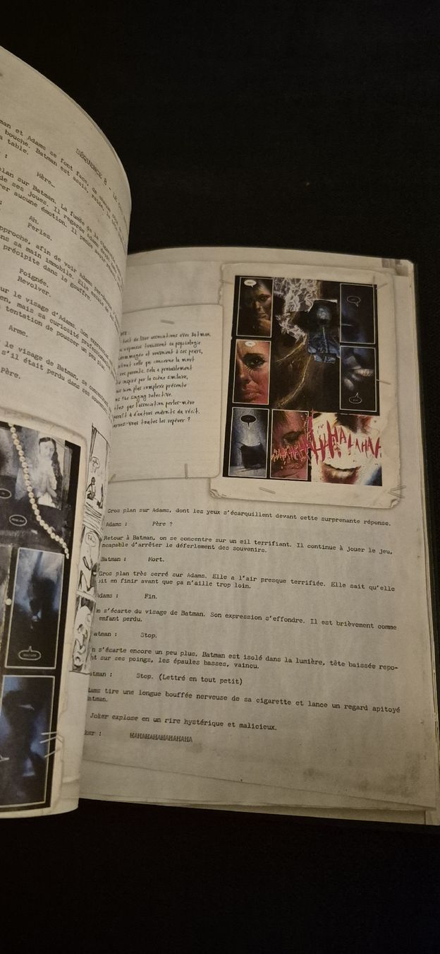 Comics: ARKHAM ASYLUM DC DELUXE COMICS RÉCIT COMPLET BATMAN JOKER FR – Gebraucht aus Grand-Lancy von luc111 4