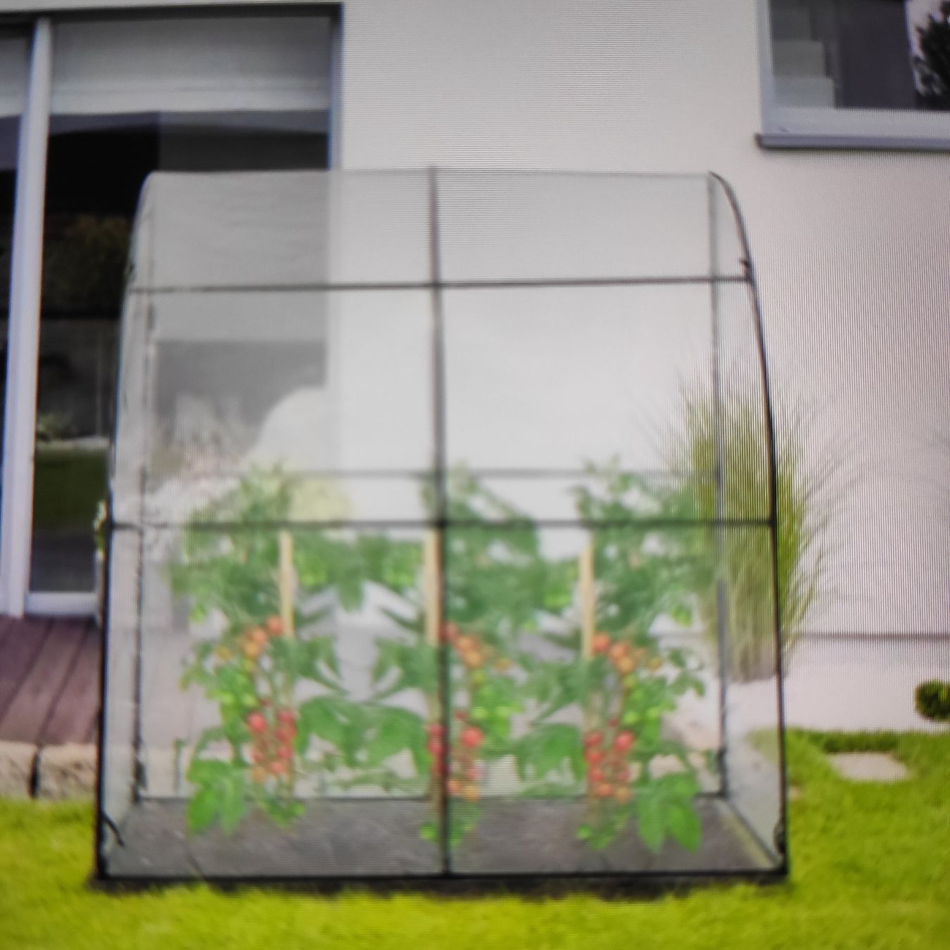 Gartenhäuser & Gewächshäuser: Tomatenhäuschen – Neu und originalverpackt aus Ballwil von for_bhc9 2