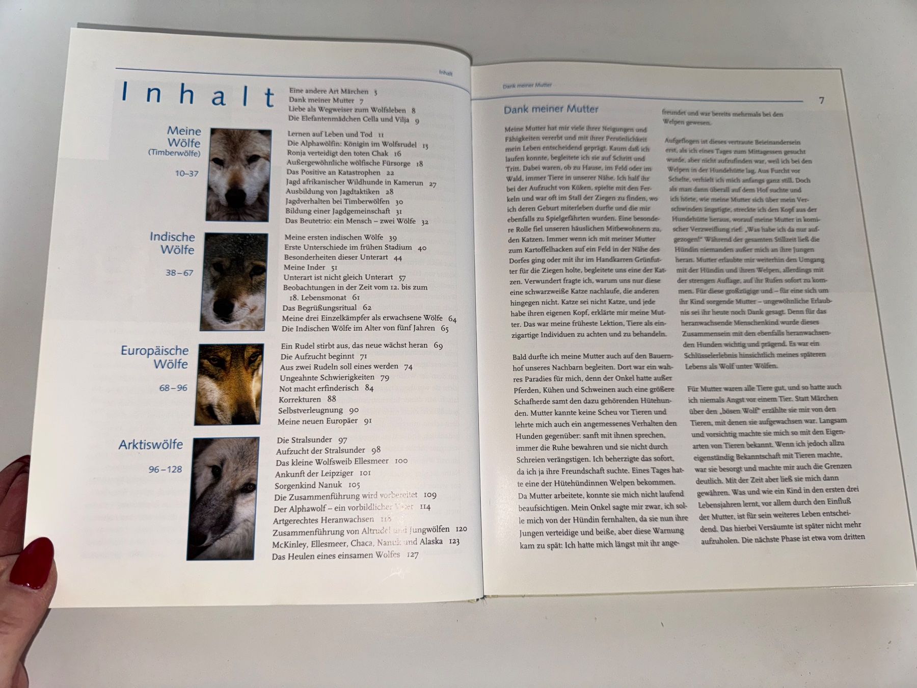 Libri: Buch: Wolf unter Wölfen, Werner Freund – Usato da Grosswangen venduto da Second_hand_paradise 1