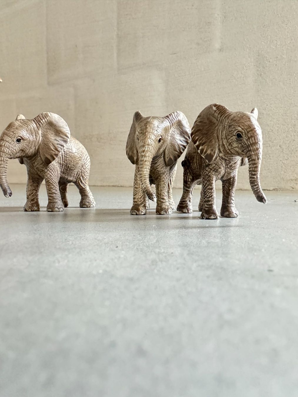 Schleich Giocattoli: Elefanten Schleich – Usato da Basel venduto da inf_z7j8 1