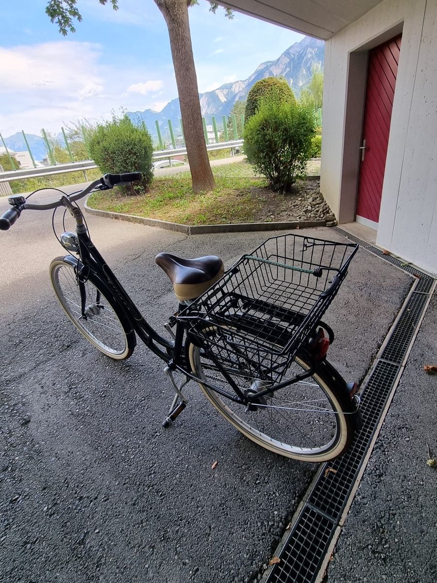 Villiger Biciclette: Damenvelo von Villiger  – Usato da Igis venduto da MariM04 4