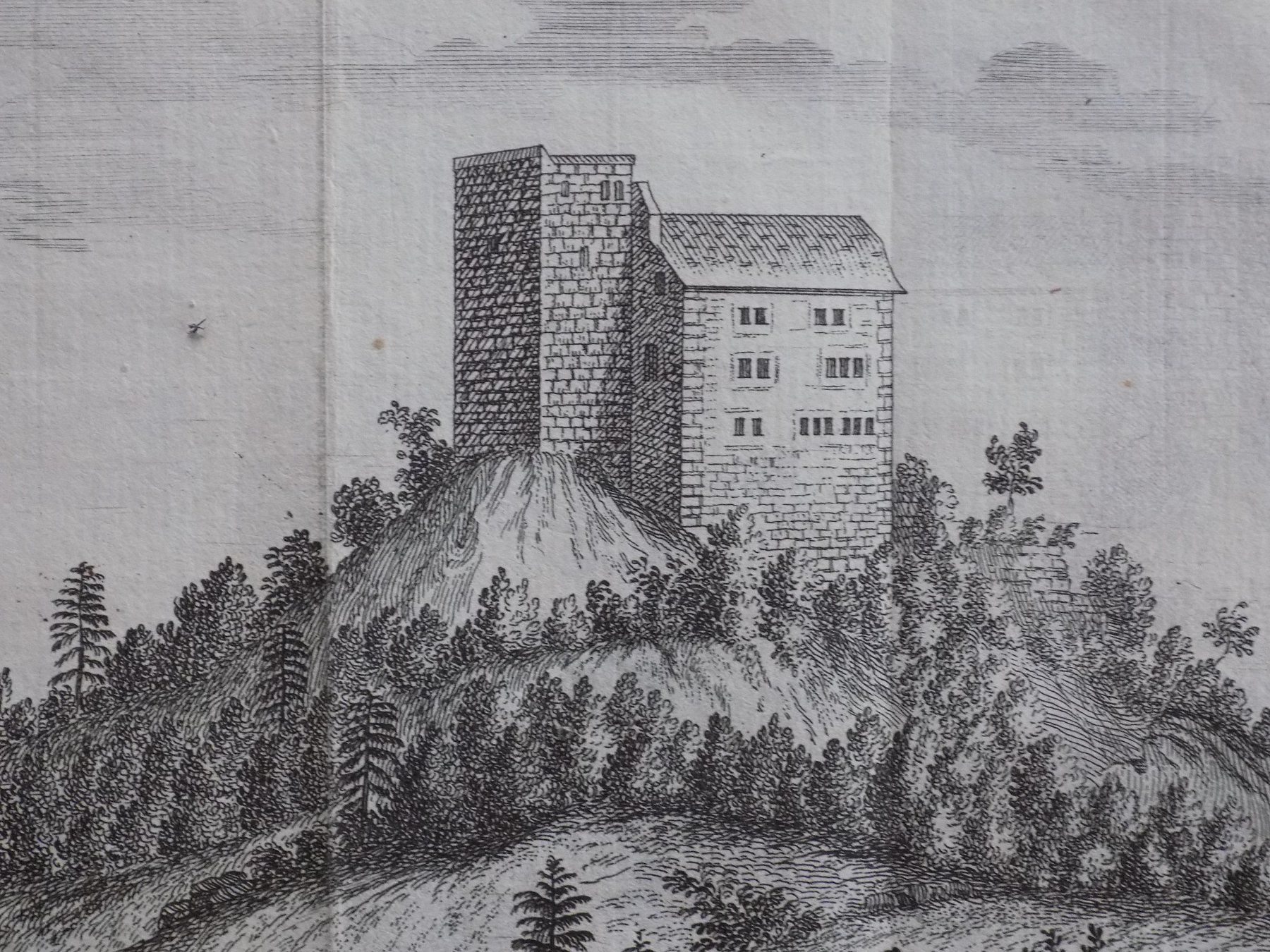 Stiche: Habsburg Kupferstich selten – Gebraucht aus Risch von Rischli15 8