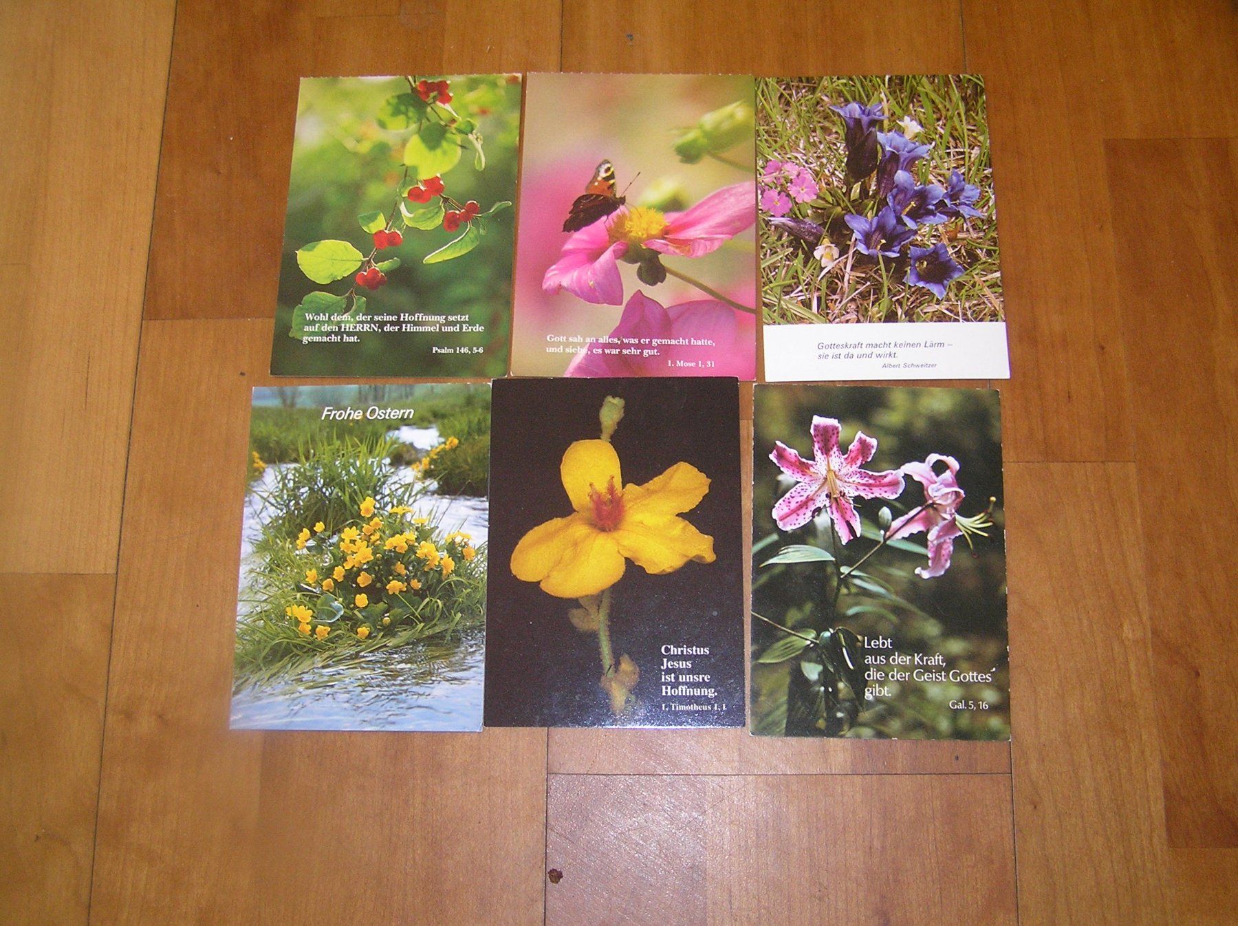 Cartoline postali: 80 Grus - Kunst und diverse Karten – Usato da Lumbrein venduto da made02 4