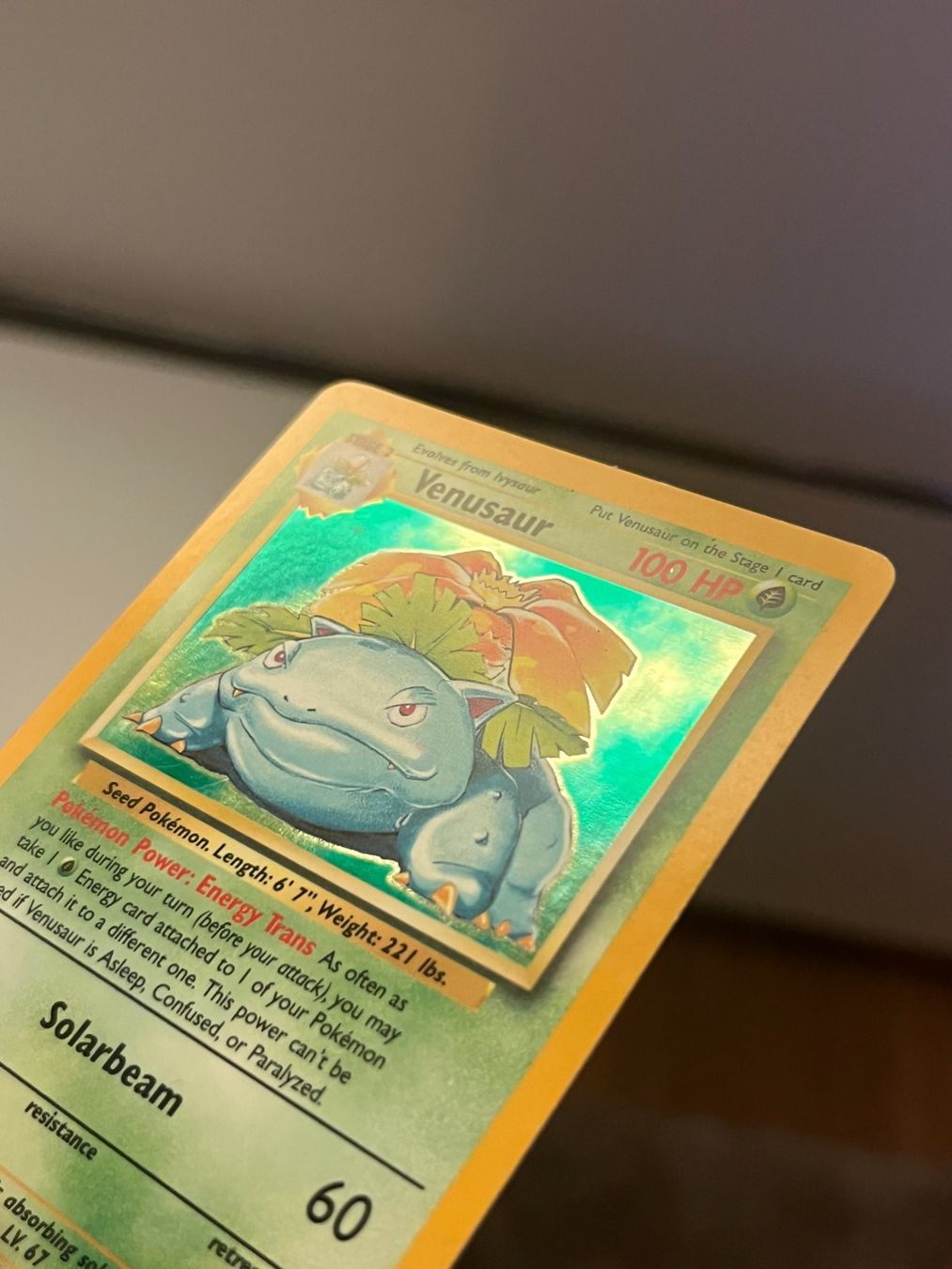 Pokémon Carte collezionabili: Pokemon Bisaflor / Venusaur Holo – Usato da Zollikerberg venduto da Guido175 4