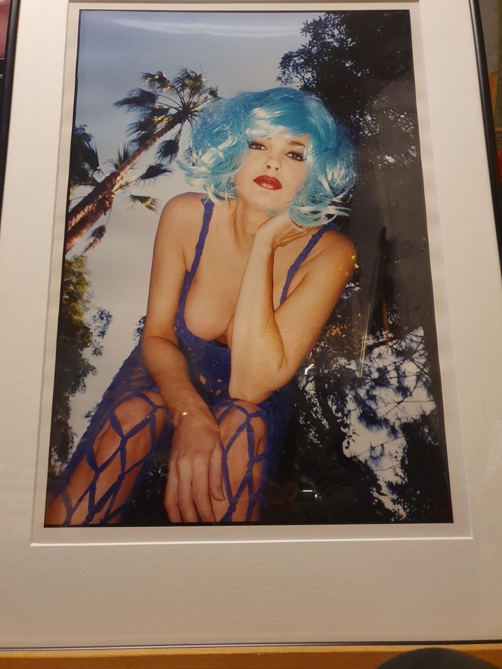 Poster & Bilder: Julie Strain par Steeve Diet Goedde – Gebraucht aus Genève von GenevaArtsCollectors