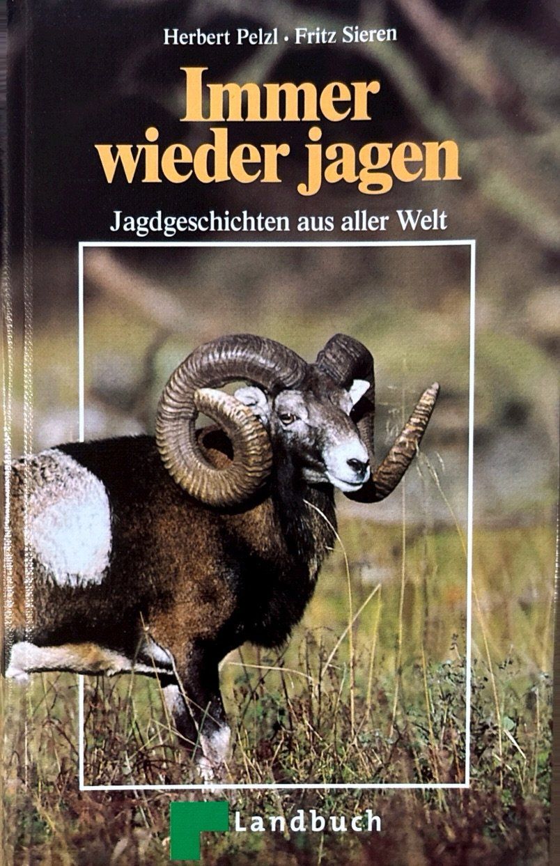 Libri: Immer wieder jagen – Nuovo (secondo la descrizione) da Sarnen venduto da Livres