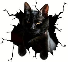 🐾Schwarze Katze 3D-Vinyl: Aufkleber für Auto & Wand🐈‍⬛💫