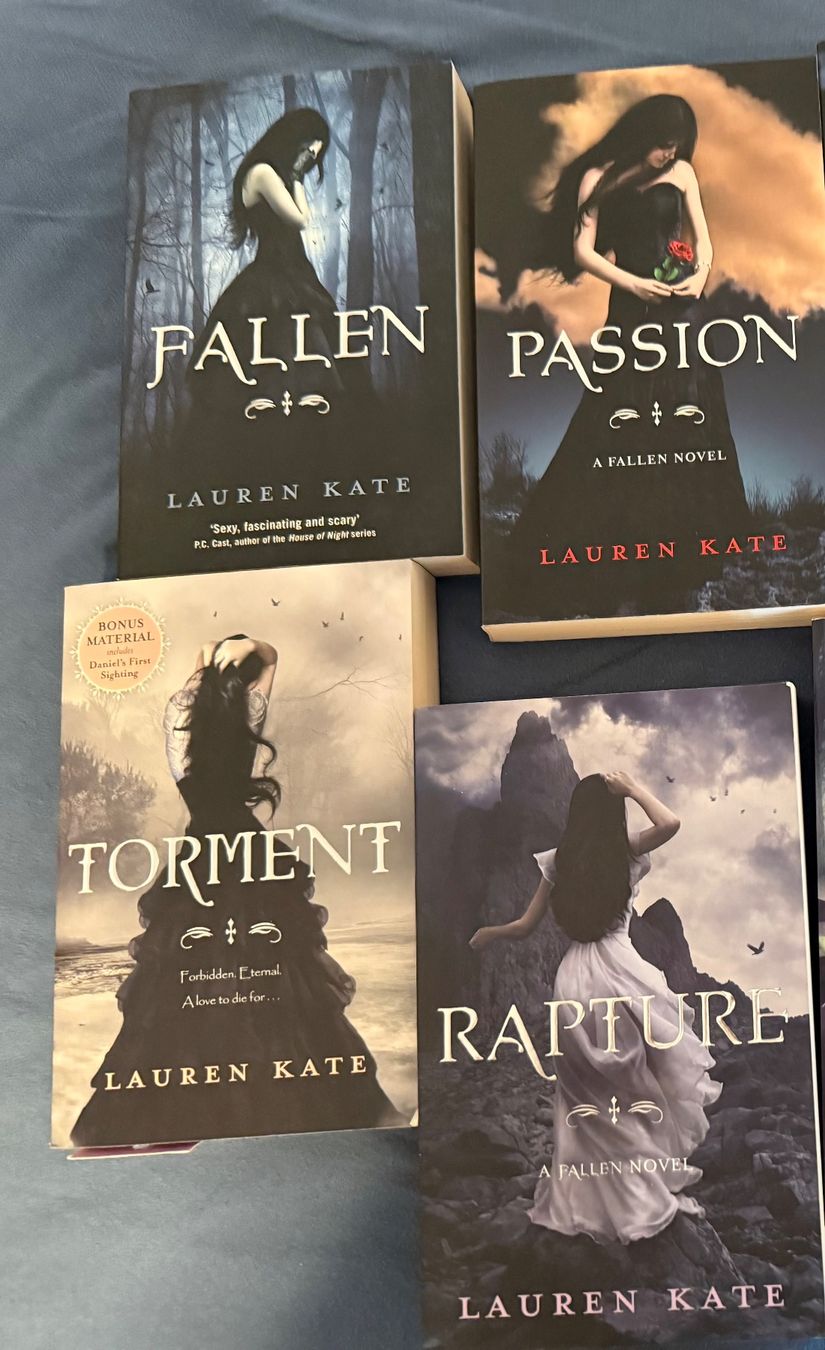 Livres: Fallen Bücherserie (Englisch) – D'occasion à Nassenwil par SShao