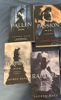Fallen Bücherserie (Englisch)