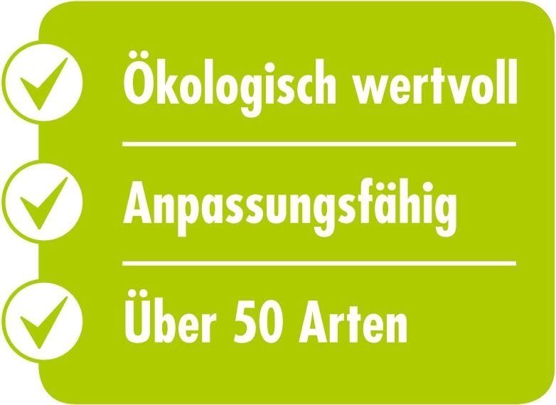 Plantes & graines: Schweizer Flora Suisse, Rasensamen – Neuf (Voir description) à Sennhof - Winterthur par sidesurfer 2