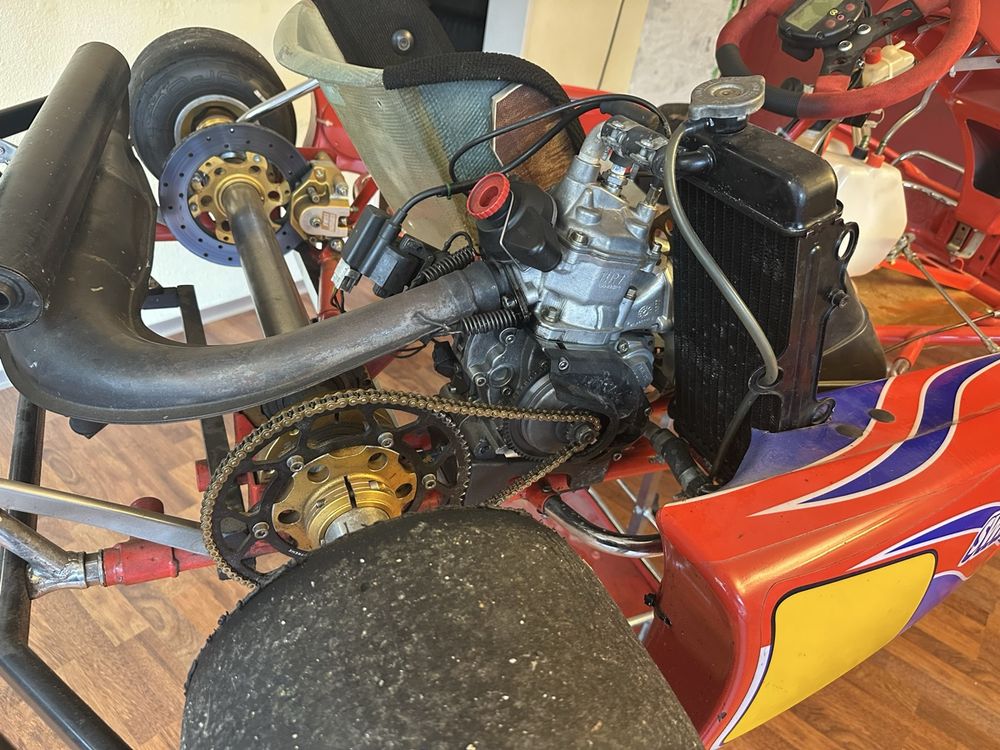 Swiss Hutless Karts: Rennkart Swiss Hutless mit Rotax Max 125ccm – D'occasion à Meggen par Aur_r5rp 4
