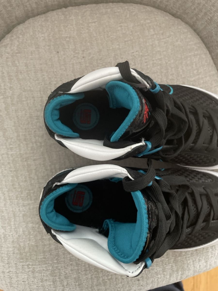 Nike Scarpe da uomo: Nike Lebron Schuhe – Usato da Matten b. Interl venduto da sam_q6cw 6