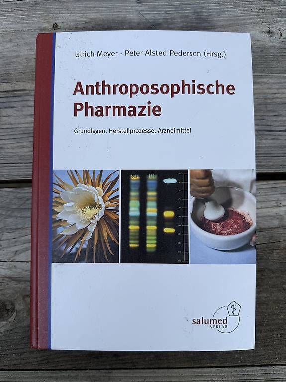 Libri: Anthroposophische Bücher – Usato da Liebefeld venduto da katrin13 1