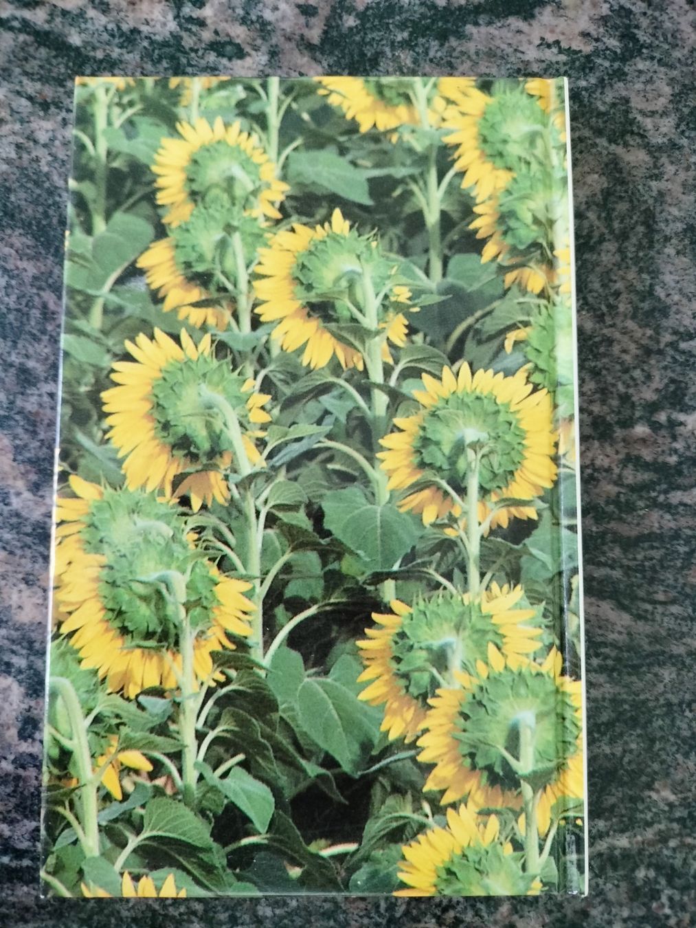 Libri: LE PETIT BOTANISTE ROMAND A. MONARD – Usato da Cortaillod venduto da rozinna 7