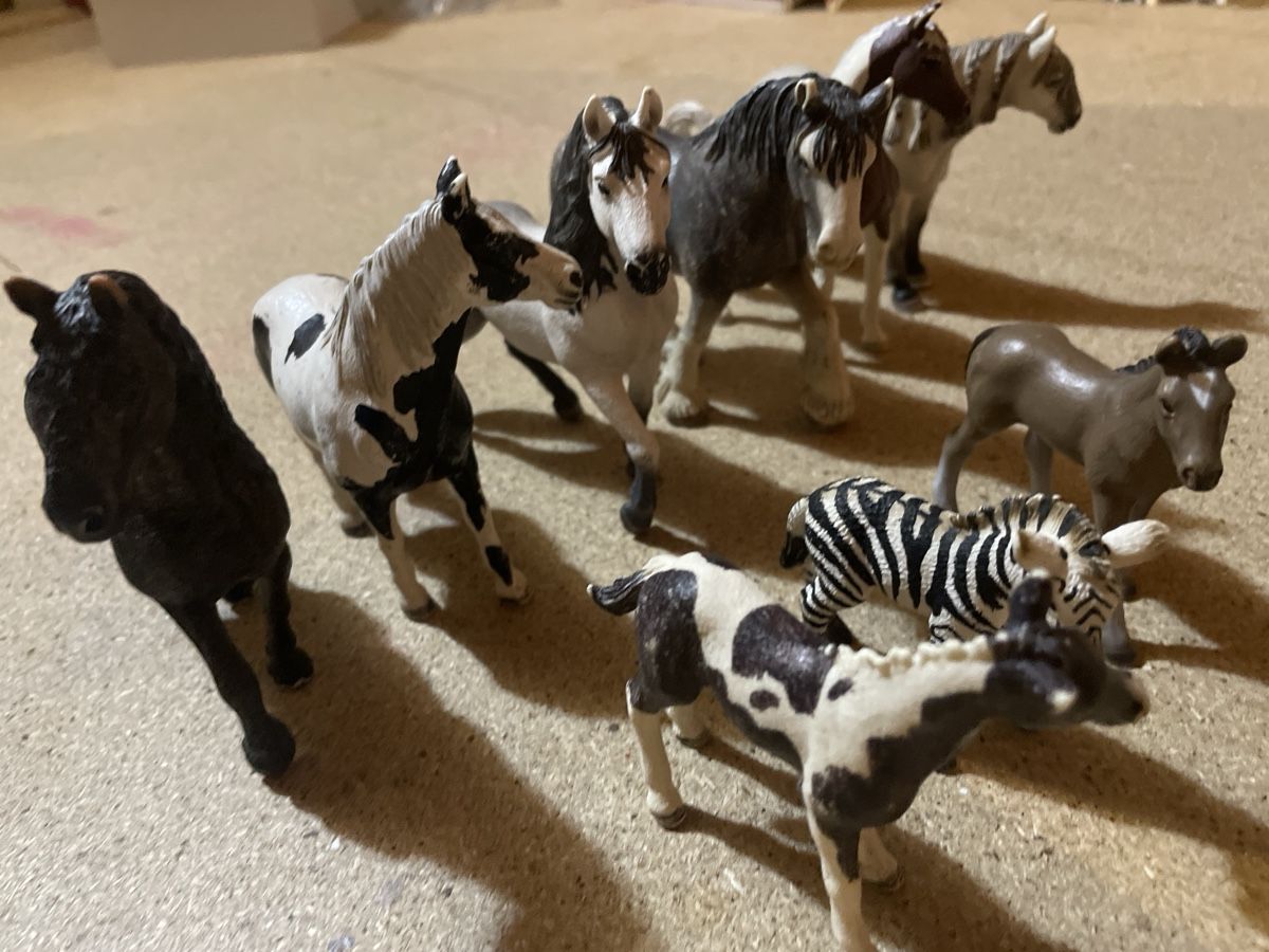Schleich Spielzeuge: Schleichtier Set  – Gebraucht aus Niederhasli von nic_65cm 1