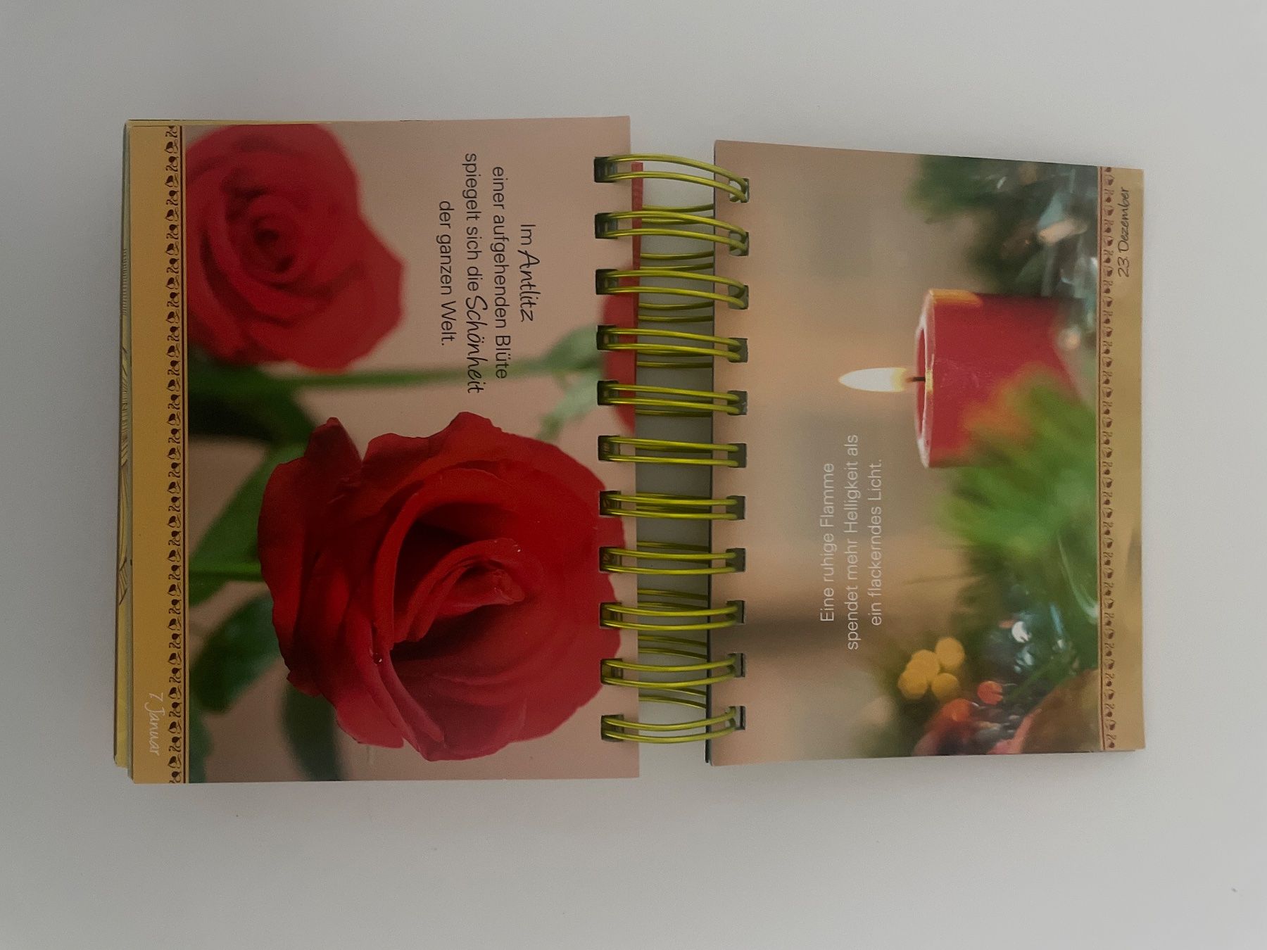 Kalender: Tischkalender - 365 Tage Lebensfreude – Gebraucht aus Schaffhausen von Kolibri023 1
